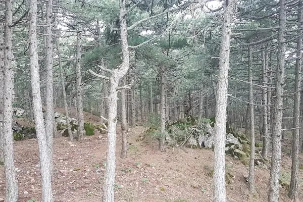 Spil Dağı Seyir Terası - Resim 9