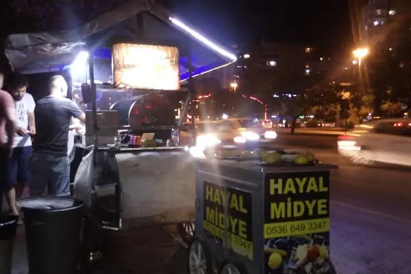 Anadolu Lisesi Metrosu - Resim 13