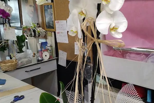 My Çiçek - Resim 5
