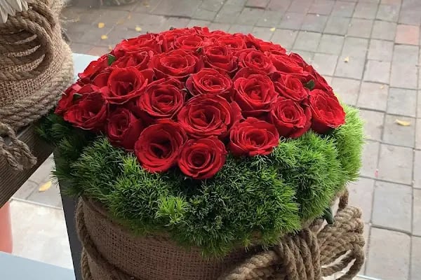 My Çiçek - Resim 1