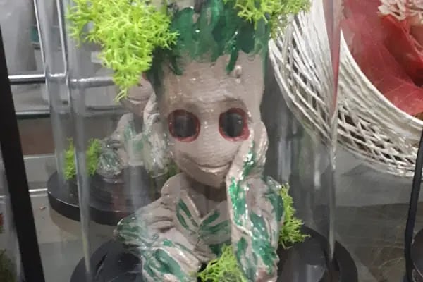 My Çiçek - Resim 17
