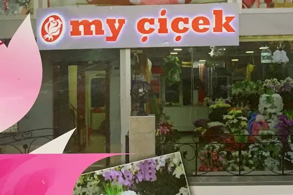 My Çiçek - Resim 2