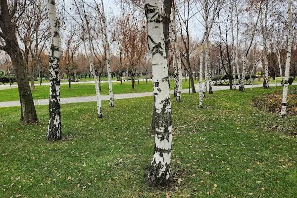 ABB-Altınpark - Resim 9