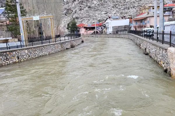 Tadım Taş Ekmek ve Unlu Mamüller - Hüseyin Ağaçcı Ticaret - Resim 13