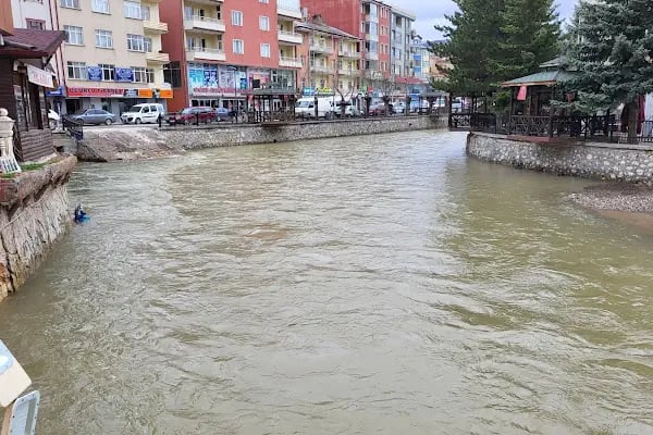 Tadım Taş Ekmek ve Unlu Mamüller - Hüseyin Ağaçcı Ticaret - Resim 7