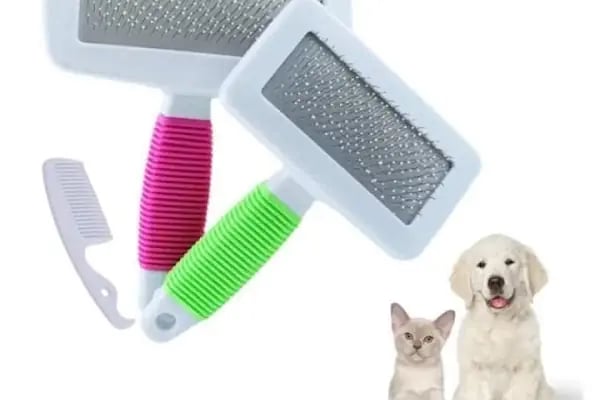 Turan Petshop - Resim 18