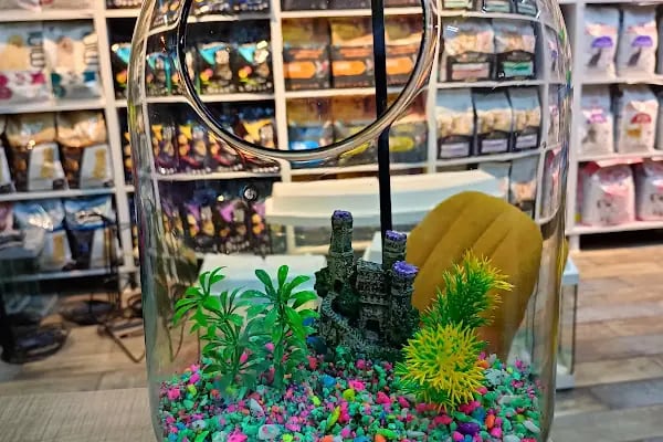 Turan Petshop - Resim 3