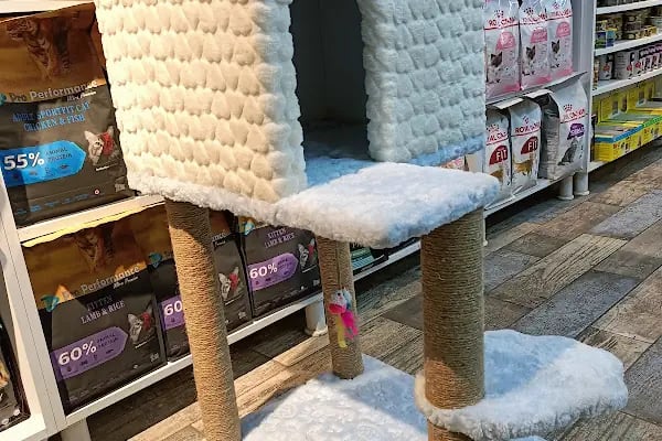 Turan Petshop - Resim 10