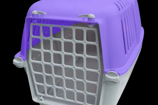 Turan Petshop - Resim 13