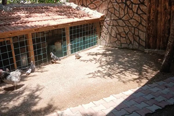 Asmalı Konak Restaurant - Resim 13