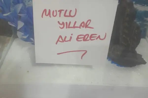 ALİAĞA Efe Petshop - Resim 4