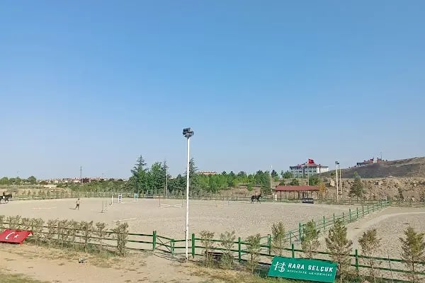 Hara Selçuk Binicilik Akademisi - Resim 8