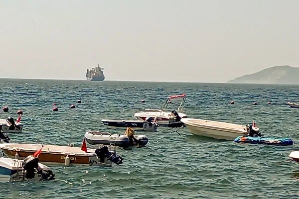 Yurtiçi Kargo Zeytin - Resim 1