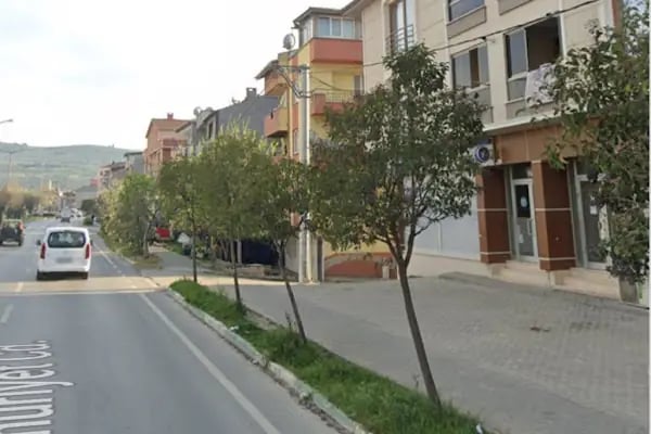 Yurtiçi Kargo Zeytin - Resim 7