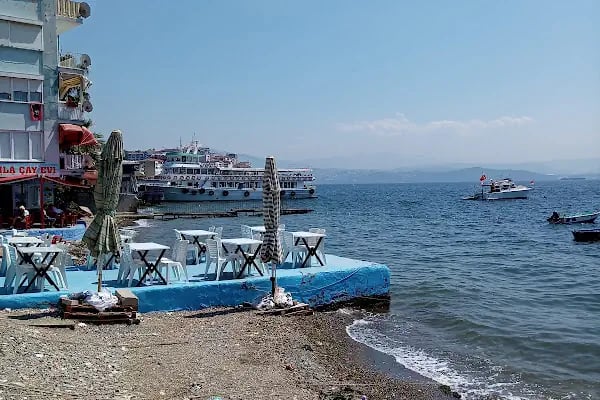 Yurtiçi Kargo Zeytin - Resim 2