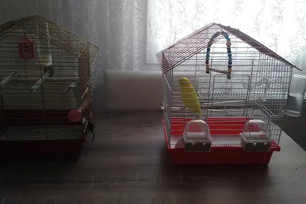 Doğan Akvaryum Kuş ve Çiçek evi - Resim 15