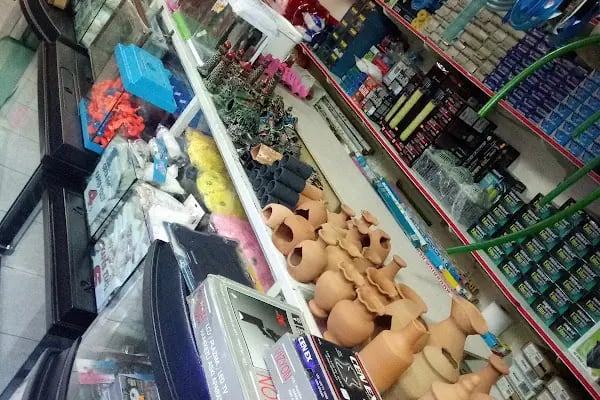 Doğan Akvaryum Kuş ve Çiçek evi - Resim 5