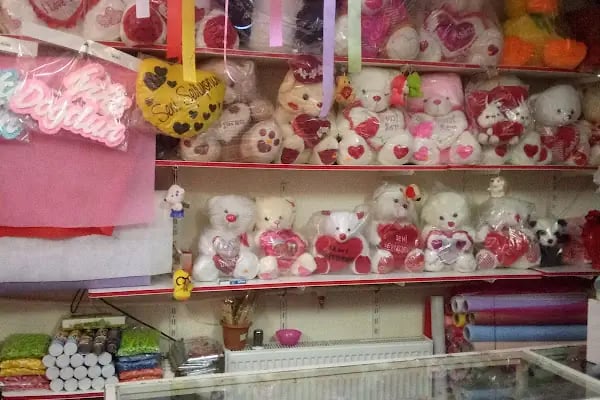 Doğan Akvaryum Kuş ve Çiçek evi - Resim 16
