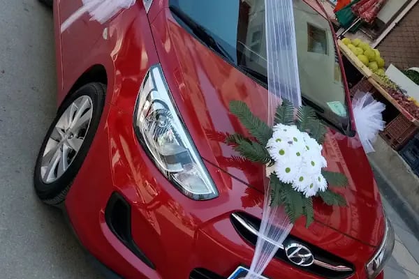 Doğan Akvaryum Kuş ve Çiçek evi - Resim 14