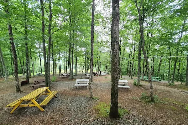 Yeşildoğa Piknik Ve Kamping Alanı - Resim 4