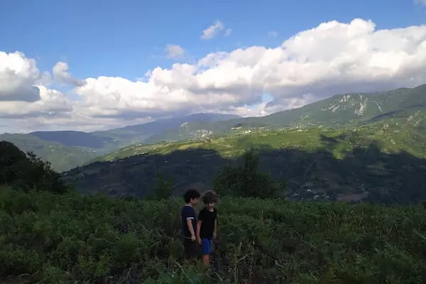 Yeşildoğa Piknik Ve Kamping Alanı - Resim 16
