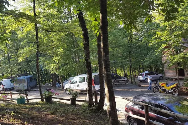 Yeşildoğa Piknik Ve Kamping Alanı - Resim 17