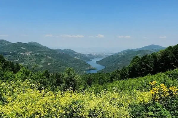 Yeşildoğa Piknik Ve Kamping Alanı - Resim 6