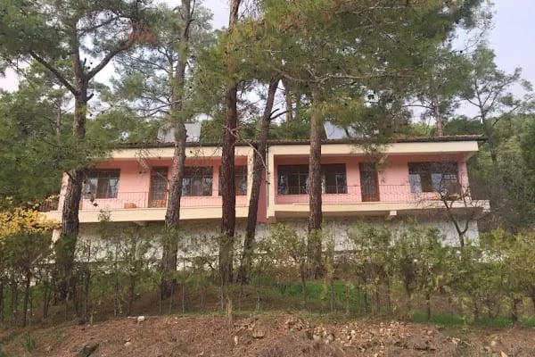 Dikilitaş kamp ve Piknik alanı - Resim 11