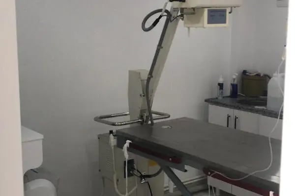 Bakırköy Veteriner - Vitalpet Veteriner Kliniği - - Resim 9