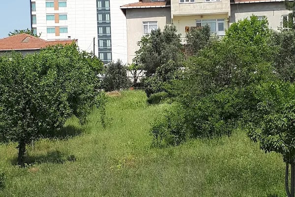 Şekerpınar İmam Hatip Ortaokulu - Resim 19