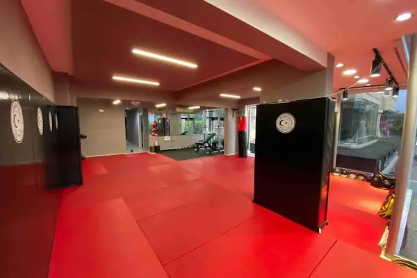 Alanya MMA Club - Resim 13