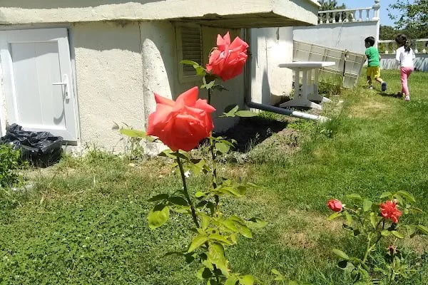 Tes-İş Konutları - Resim 14
