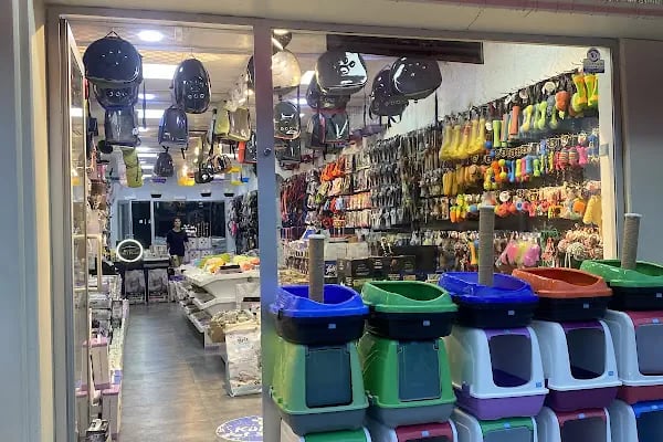 Kültür Petshop Güzelyurt - Resim 4