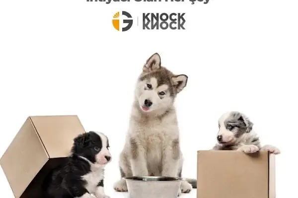 Knock Knock Petshop - Resim 7