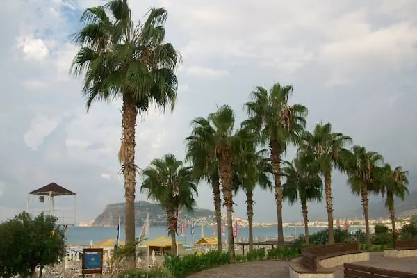 portakal plajı - Resim 13