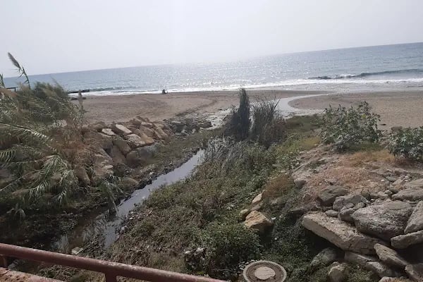 portakal plajı - Resim 9