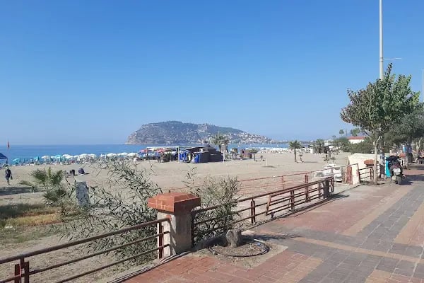 portakal plajı - Resim 7