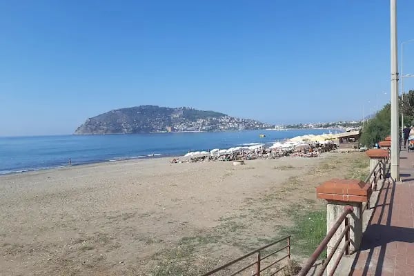 portakal plajı - Resim 1