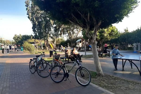 portakal plajı - Resim 17