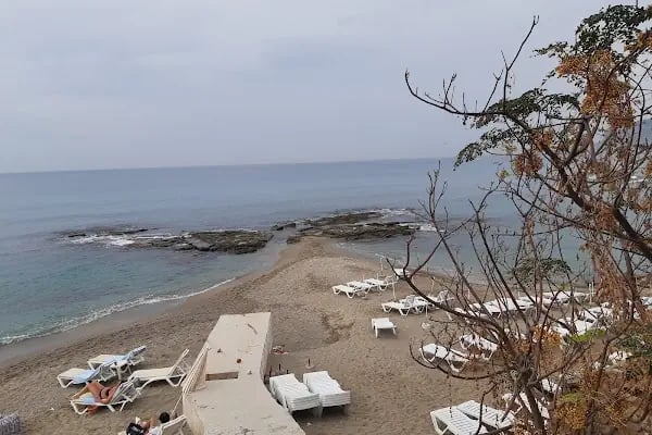 portakal plajı - Resim 15