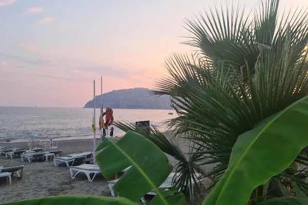portakal plajı - Resim 16