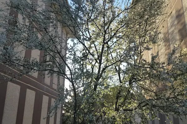 Taşoluk Toki 1. Etap - Resim 2