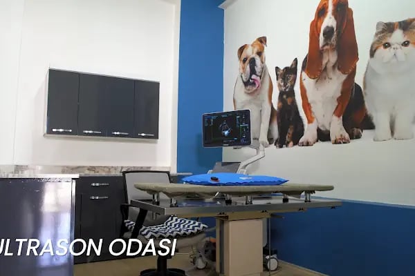 FamilyaVet Veteriner Kliniği - Resim 17