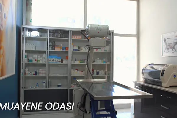 FamilyaVet Veteriner Kliniği - Resim 16