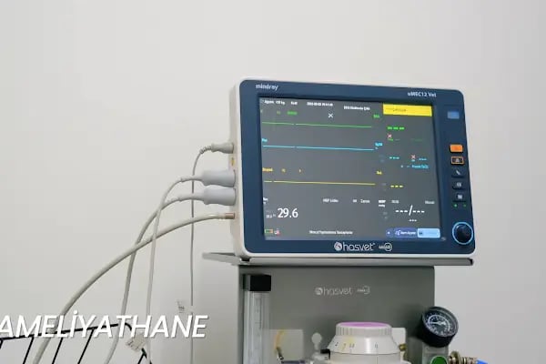 FamilyaVet Veteriner Kliniği - Resim 5