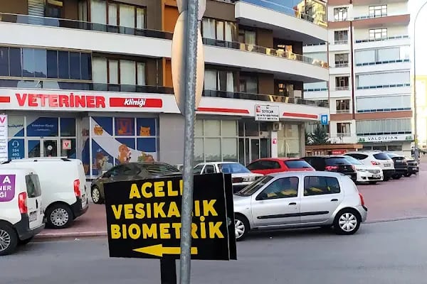 FamilyaVet Veteriner Kliniği - Resim 11