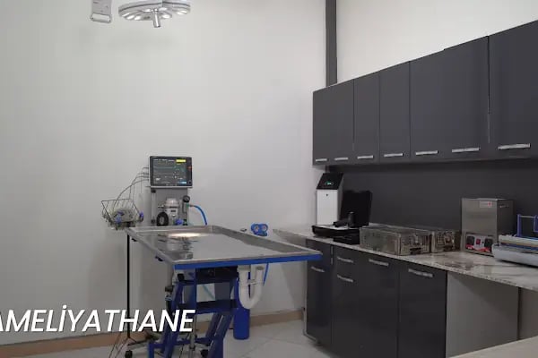 FamilyaVet Veteriner Kliniği - Resim 6