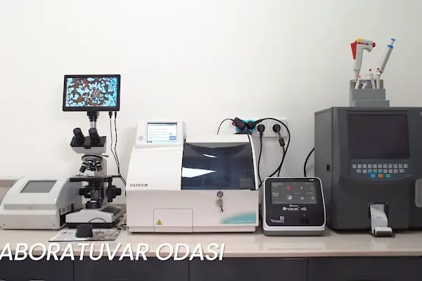 FamilyaVet Veteriner Kliniği - Resim 19