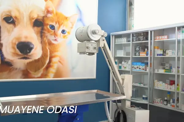 FamilyaVet Veteriner Kliniği - Resim 14