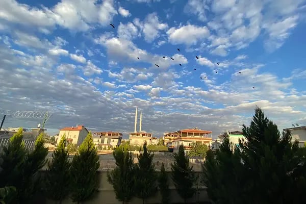 Tuğba Ateş Beauty - Resim 2